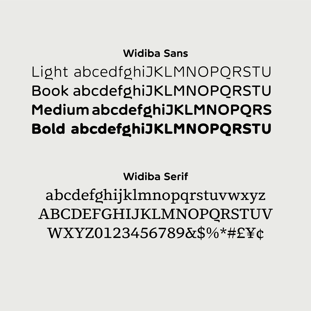Widiba bank custom fonts Widiba bank custom fonts